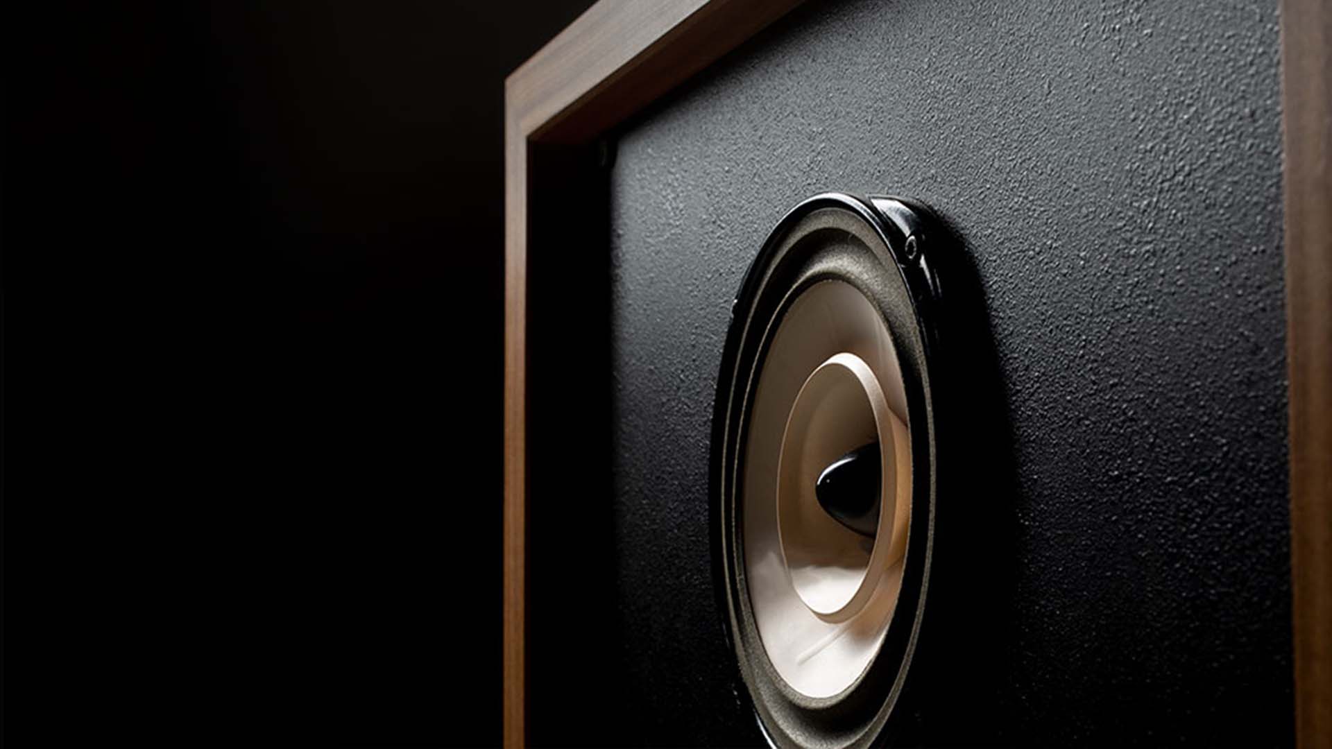 Lowther Audio Vector