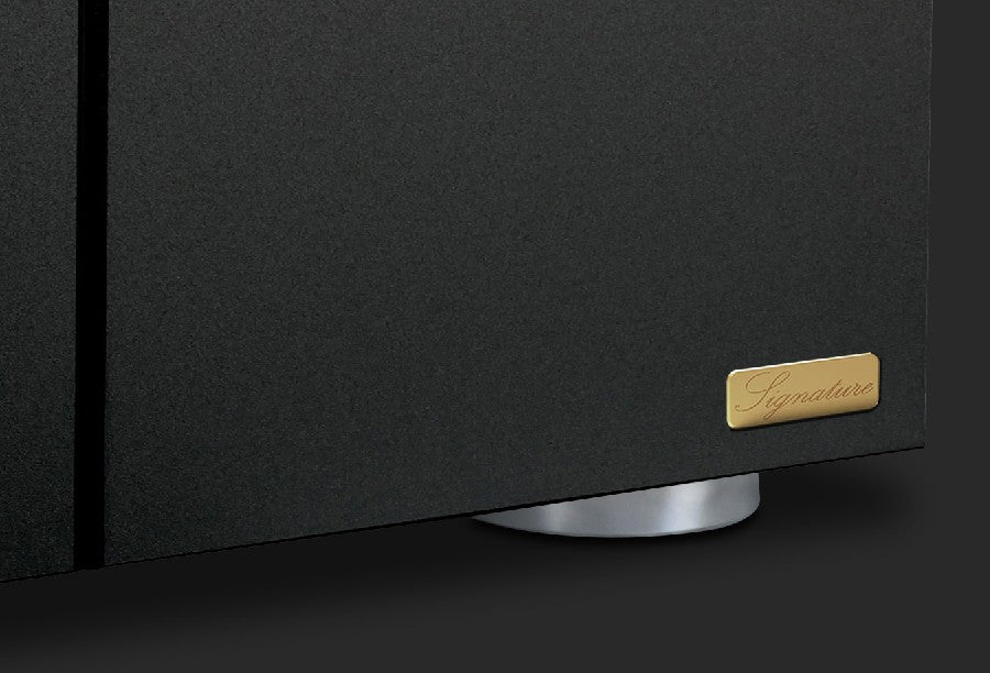 Audia Flight Strumento no.8 Signature Mono Power Amplifier