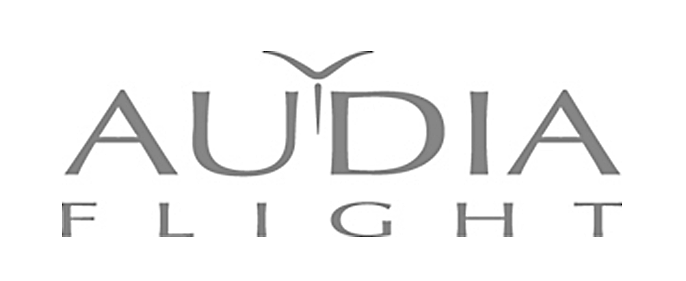 Audia Flight - Flight Phono Board