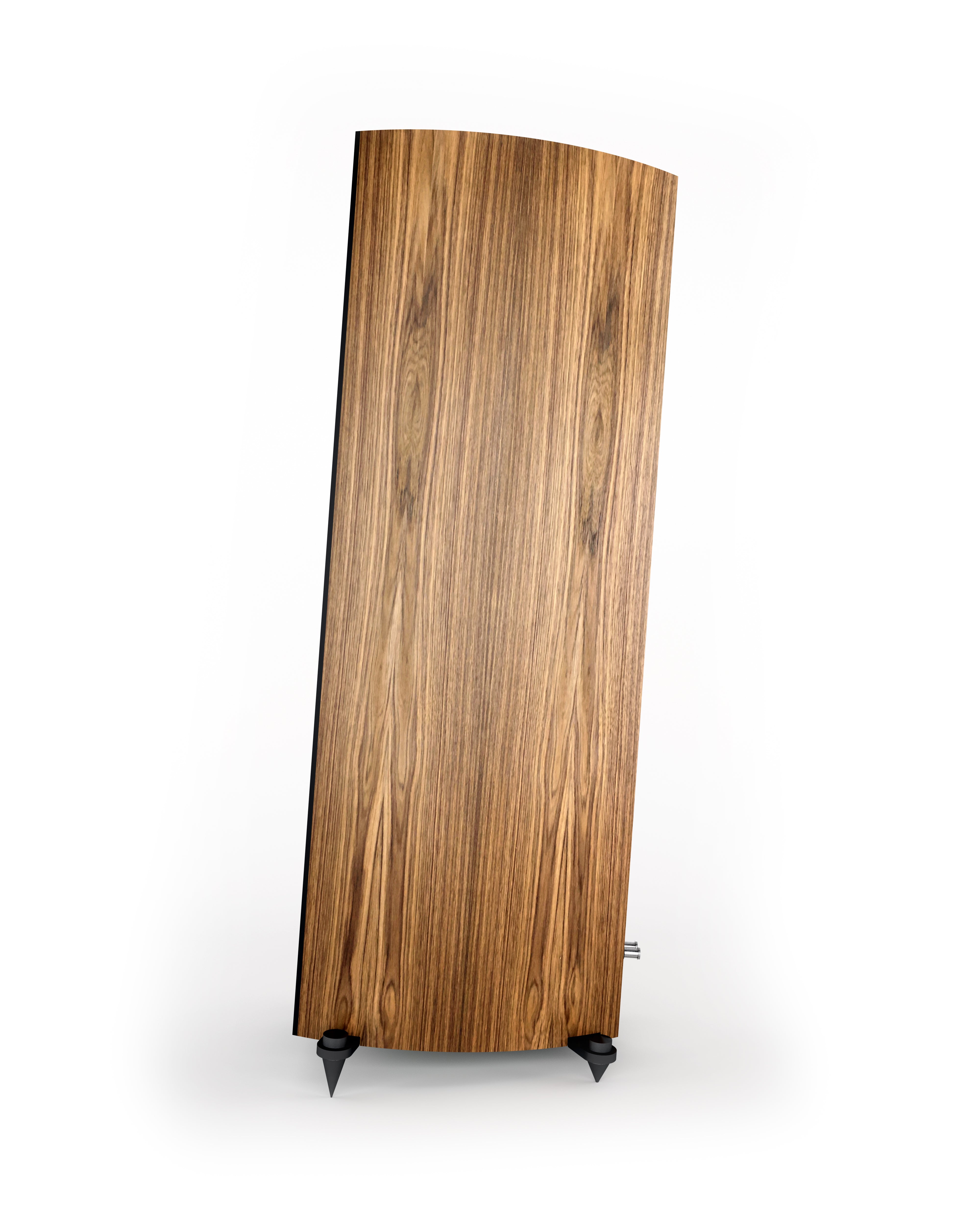 Acoustic Energy Corinium - Each