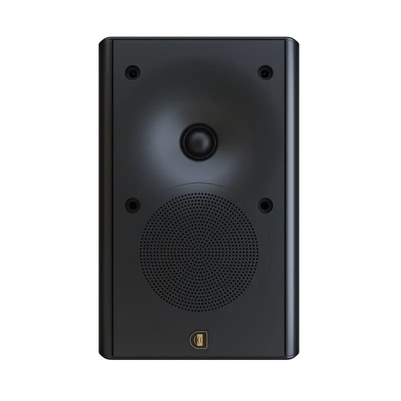 Perlisten Audio X2w On Wall Speaker
