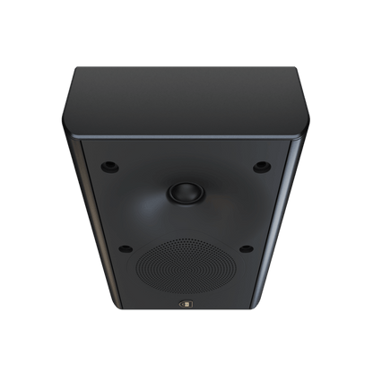 Perlisten Audio X2w On Wall Speaker