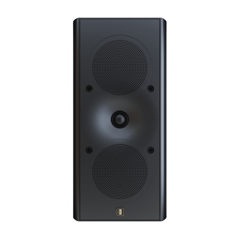 Perlisten Audio X3w On Wall Speaker