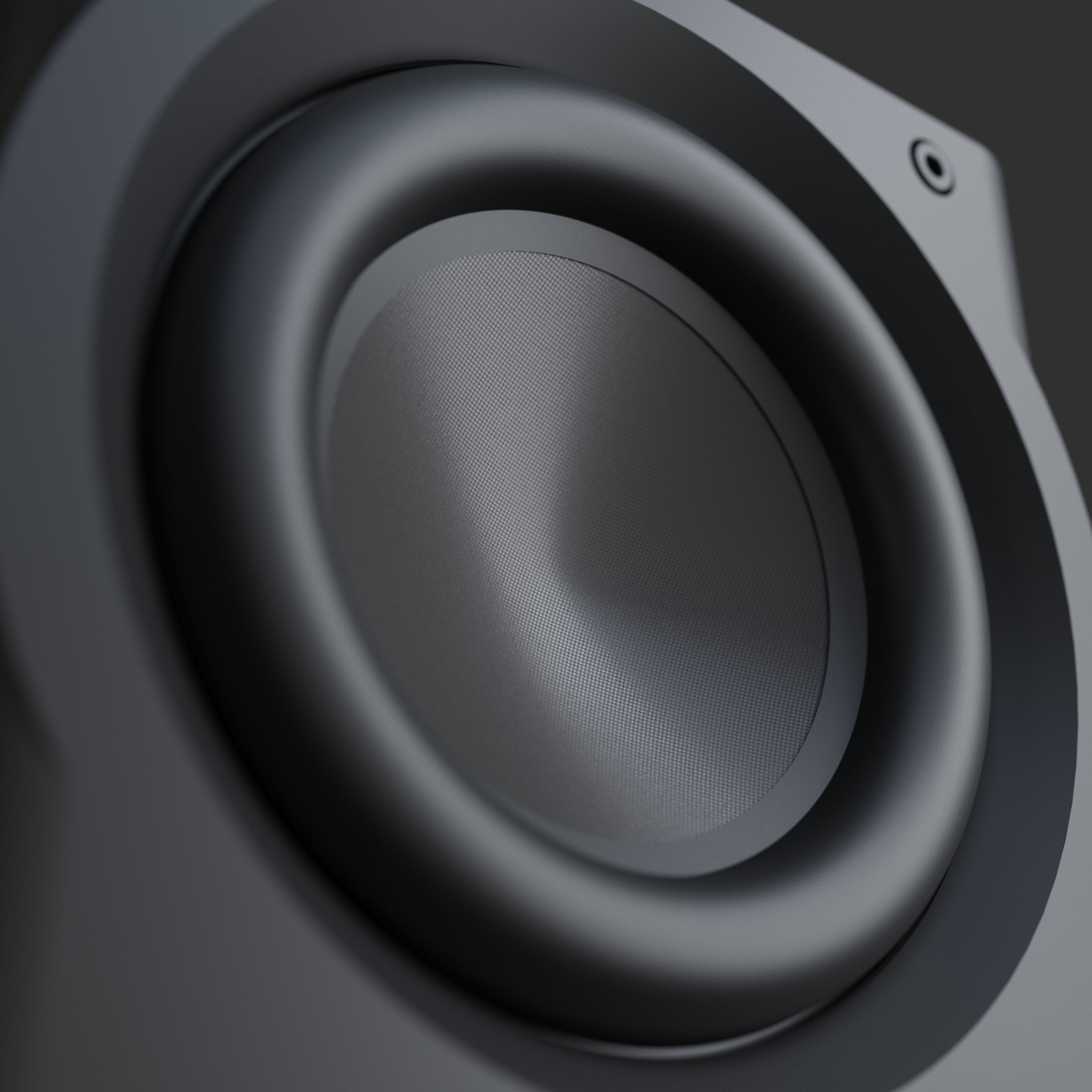 Perlisten Audio R8s Subwoofer