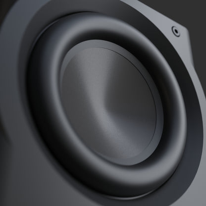Perlisten Audio R8s Subwoofer