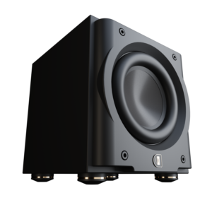 Perlisten Audio R8s Subwoofer