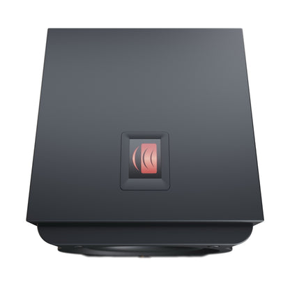 Perlisten Audio R8s Subwoofer