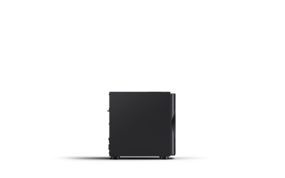 Perlisten Audio R10s Subwoofer