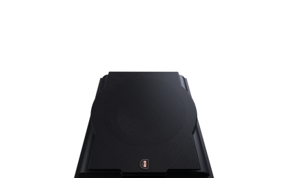 Perlisten Audio R12s Subwoofer