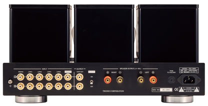 Triode TRZ-300W