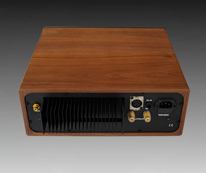 Geshelli Labs Z-Blok Mono Amplifier