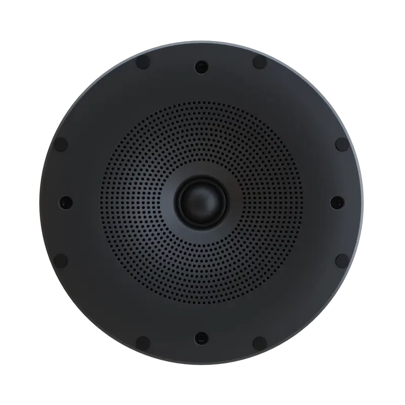 Perlisten Audio X2ic In Ceiling Speaker