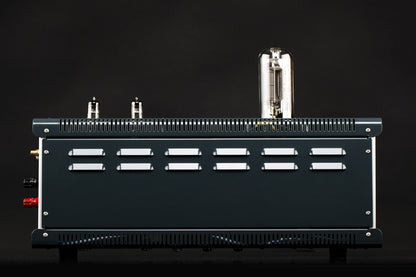 THÖRESS SE 845 Mono Power Amplifier - Pair
