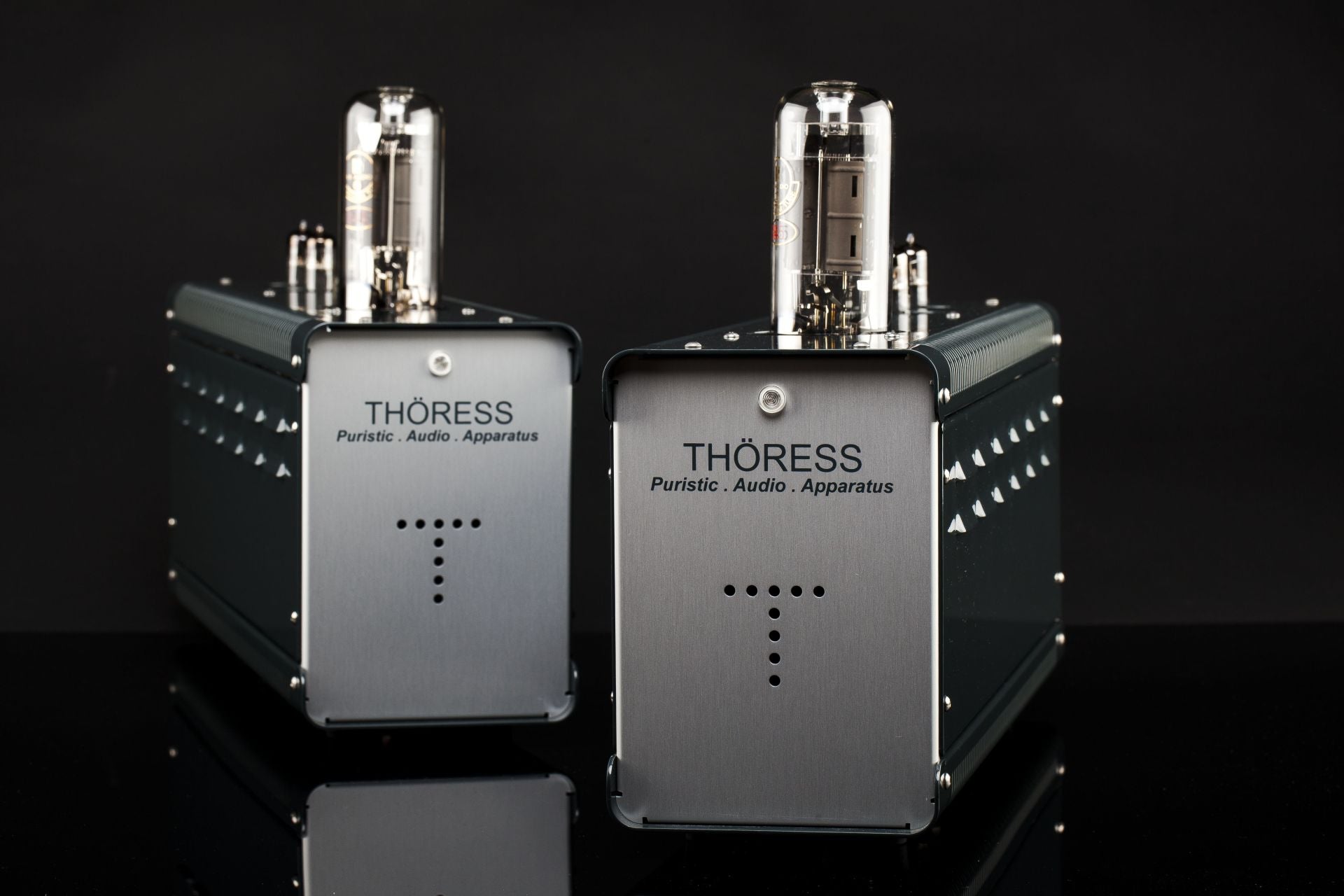 THÖRESS SE 845 Mono Power Amplifier - Pair