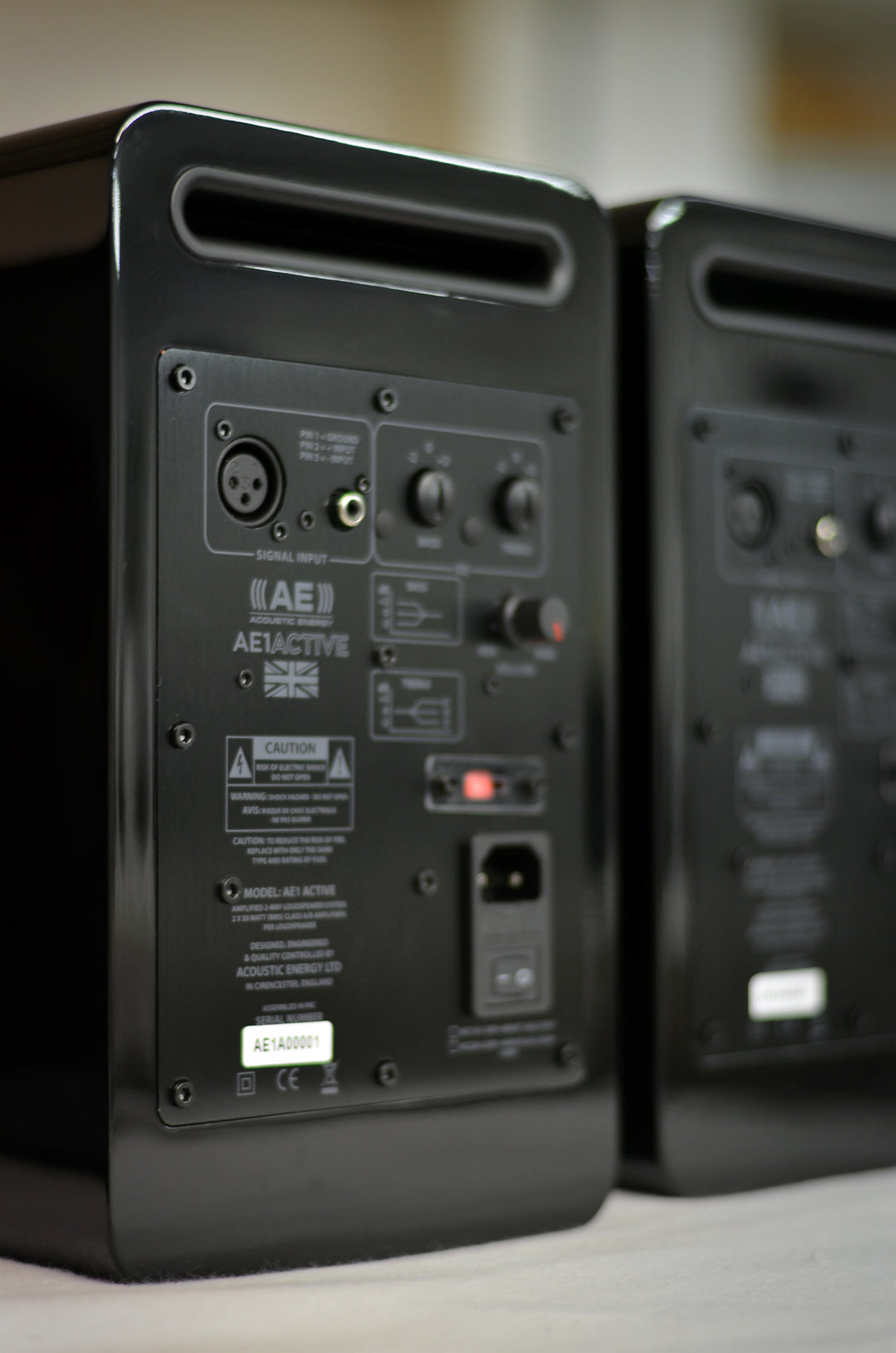 Acoustic Energy AE1