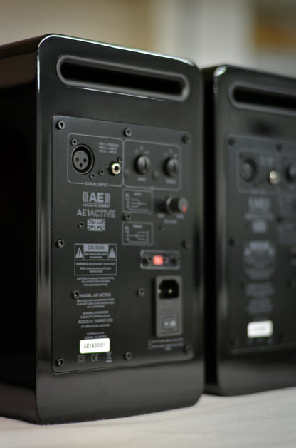 Acoustic Energy AE1