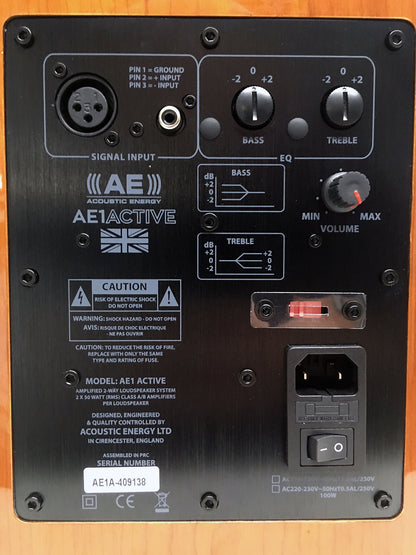 Acoustic Energy AE1