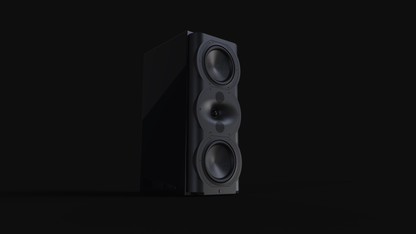 Perlisten Audio R5m Monitor Speaker
